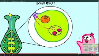 Plant Reproduction Amoeba Sisters WS 12 11 14 [upl. by Tann]