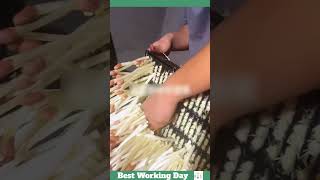 Best working day 1448 Peanut sprout cutting process [upl. by Libbie]