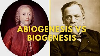 Abiogenesis Vs Biogenesis Spontaneous generation theory [upl. by Enilec255]