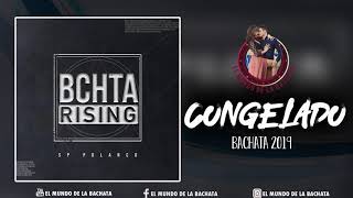 SP Polanco  Congelado feat Chantel  BACHATA 2019 [upl. by Trimble]