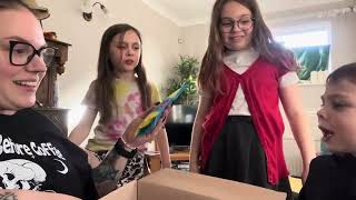 Degustabox Unboxing March 2024 [upl. by Ikceb]