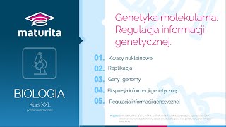 23 Genetyka molekularna  Kurs maturalny z biologii  demo kursu XXL [upl. by Defant]