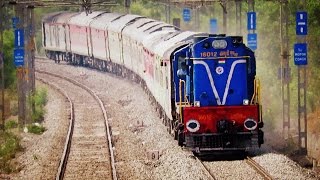 Crazy Honkers  Indian Railways Loco Horn Show [upl. by Foulk]