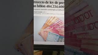 El proyecto de ley de presupuesto preve erogaciones de un billon 484234600000 pesos [upl. by Akiemahs155]