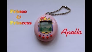 Prince amp Princess Virtual Pet Review  Тамагочи Аполло Принц и Принцесса [upl. by Salta33]