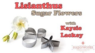 How to make Lisianthus Sugar Flowers with Innovative Sugarworks Flower Cutters [upl. by Aicnetroh745]