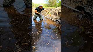 Beaver Dam In The Mouth Of The Culvert  Beaver Dam Removal shorts [upl. by Alvinia936]