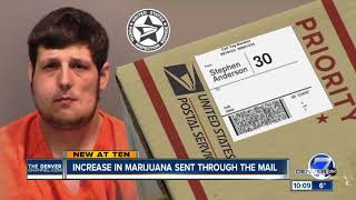 Number of packages mailed in Colorado with marijuana inside spikes [upl. by Atiuqaj]