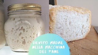 Pane con Lievito Madre nella Macchina del Pane Proviamo a farlo insieme [upl. by Iilek245]