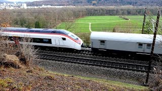 Züge in Umiken  Stadler SMILE  SBB RABe 501  Giruno [upl. by Ayhtnic]