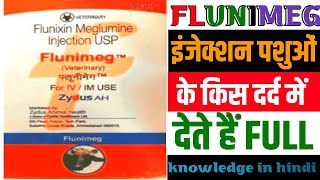 Injection Flunimeg  Injection Flunixin Meglumine  Flunixin Meglumine Injection USP Uses In Hindi [upl. by Aubine286]