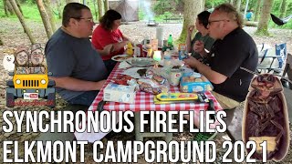 Synchronous Fireflies Camping in Elkmont Campground Great Smoky Mountains National Park 2021 [upl. by Ahseya]