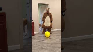 A big fat shaggy dog brings a big yellow balloons for his friends [upl. by Vivie]