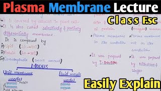 Plasma Membrane Structure And Functions  Fluid Mosaic Model  Class 11 Biology [upl. by Ynner]