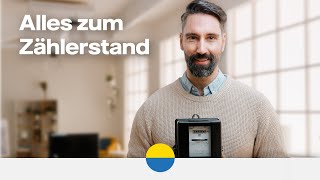 Zählerstand ablesen und übermitteln  So gehts [upl. by Cummine246]