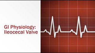 GI Physiology Ileocecal Valve [upl. by Oiramat]