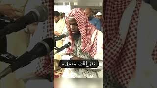 Sheikh Okasha Kameny Surah Najm Ayah 1723 [upl. by Ocramed]