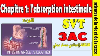 la digestion et labsorption 3eme année collège شرح مبسط [upl. by Tavy]