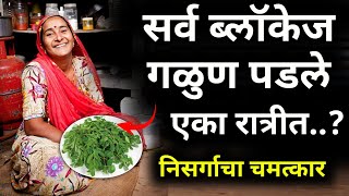 एकदा हे खाल्ल की आयुष्यभर सुखीHealth tips Boost Your Wellness amp Energyआरोग्य [upl. by Nwahsauq]