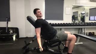 Incline bench bicep curl  Movement technique video [upl. by Keheley]