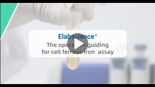 The Operation Guiding for Cell Ferrous Iron Colorimetric Assay Kit [upl. by Eecart]