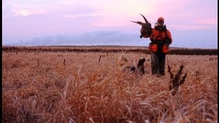 Pheasants Forever A Call to Action [upl. by Stephenie]