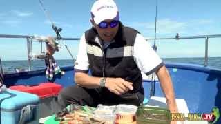 Pesca dalla Barca sulle tegnue di Caorle in Alto Adriatico [upl. by Aicarg10]