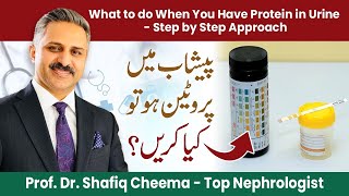 Protein in Urine or Proteinuria A Step by Step Approach  What to do when you have foamy Urine [upl. by Nallaf]