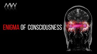 What Is Consciousness What is Its Purpose [upl. by Valentino712]