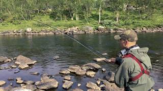 Salmon fishing in river TenoTana tributaries [upl. by Aja681]