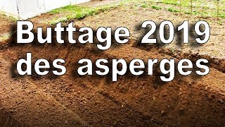 Buttage 2019 des asperges blanches [upl. by Ardnama]