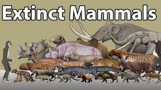 quotUltimate 2024 Extinct Mammals Size Comparison Fascinating Giants and Minuscule Marvelsquot [upl. by Nirak]