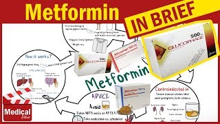 Metformin 500 mg  Glucophage  Uses Dosage Side Effects Contraindications and Some Advice [upl. by Dnaloy]