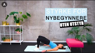 Styrketrening for nybegynnere uten utstyr💦  Disse øvelsene kan ALLE gjøre [upl. by Jaunita]