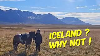 Icelands BEST Kept Secret Our Horse Tour  🇮🇸 🐴 iceland horses [upl. by Arlena85]