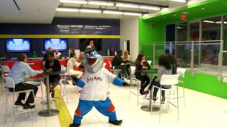 Miami Marlins Harlem Shake [upl. by Ittam583]