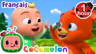 Un Nouveau Défi  Chansons pour Bébés  CoComelon Le coin des Animaux de JJ  Comptines [upl. by Hareehat]