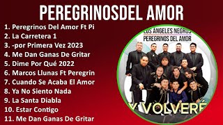 Peregrinosdel Amor 2024 MIX Las Mejores Canciones  Peregrinos Del Amor Ft Pincheiras Del Su La [upl. by Floria]