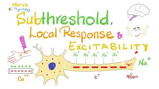 Subthreshold Stimulus Local Response Catelectrotonus Anelectrotonus  Nerve Physiology [upl. by Aistek]