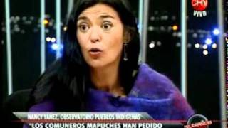 Tolerancia Cero  Nancy Yañez observatorio derechos indigenas Parte 1 [upl. by Steere763]