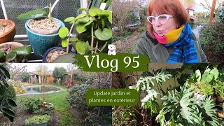 VLOG 95 🌿 Update plantes en extérieur Philo Alocasia et jardin  Mes boutures de Hoyas poussent [upl. by Liemaj]