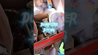 Dumpster diving for pet stairs and home goods Part 1 of 2dumpsterdiving pets shorts dogs gnome [upl. by Jaban347]