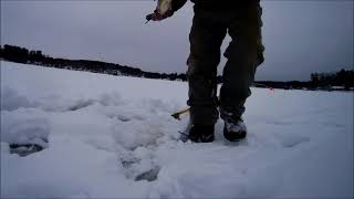 Ice Fishing Beaver Lake Great Meredith Rotary Derby 2021 [upl. by Jamilla574]