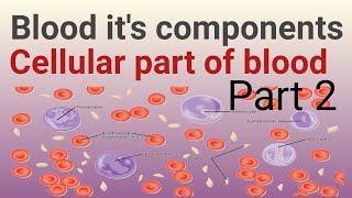 blood its and Components cellular part of blood [upl. by Alec]