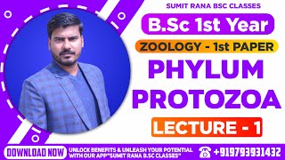 Lt01 Phylum  Protozoa Part1  BSc1st Year Zoology [upl. by Leirbaj]