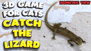 3D game for cats  CATCH THE LIZARD isometric view  4K 60 fps stereo sound [upl. by Jana]