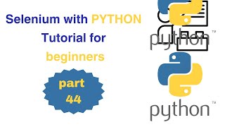 044 What is Implicit Wait in Selenium  Web Automation Selenium Python [upl. by Admana]