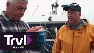 Top 5 Newfoundland  Bizarre Foods With Andrew Zimmern  Travel Channel [upl. by Kcyred940]