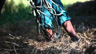 Welthungerhilfe  Myanmar Unterstützung der Kleinbauern im Irrawaddy Delta [upl. by Stroud92]