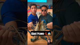 Giant River Prawn 🦞😱 seafood Bankii lobster food youtubeshorts shorts asmr [upl. by Atirec750]